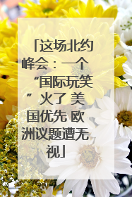 这场北约峰会：一个“国际玩笑”火了 美国优先 欧洲议题遭无视
