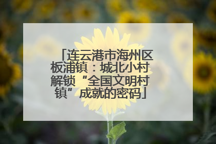 连云港市海州区板浦镇：城北小村解锁“全国文明村镇”成就的密码