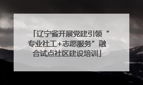 辽宁省开展党建引领“专业社工+志愿服务”融合试点社区建设培训