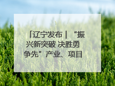 辽宁发布｜“振兴新突破 决胜勇争先”产业、项目、民生齐发力 葫芦岛按下决胜之年“加速键”