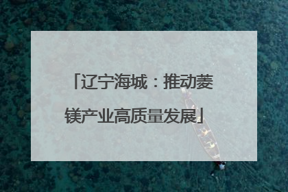 辽宁海城：推动菱镁产业高质量发展