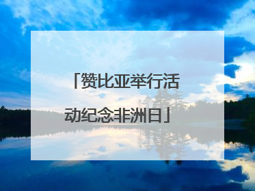 赞比亚举行活动纪念非洲日