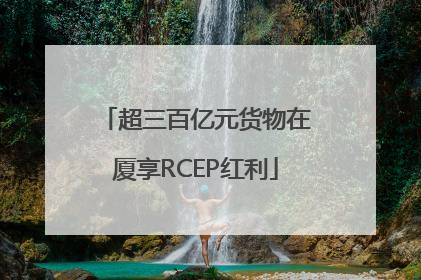 超三百亿元货物在厦享RCEP红利