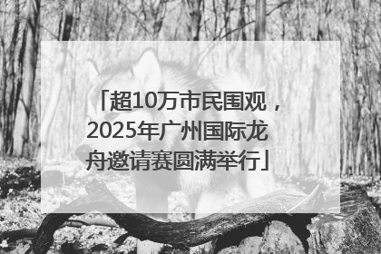 超10万市民围观，2025年广州国际龙舟邀请赛圆满举行