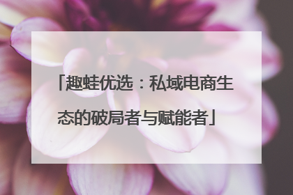 趣蛙优选：私域电商生态的破局者与赋能者