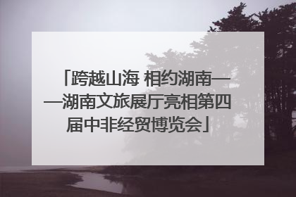 跨越山海 相约湖南——湖南文旅展厅亮相第四届中非经贸博览会