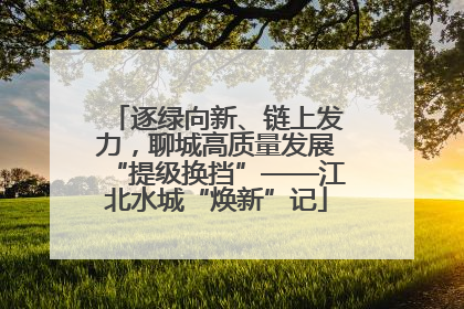逐绿向新、链上发力，聊城高质量发展“提级换挡”——江北水城“焕新”记