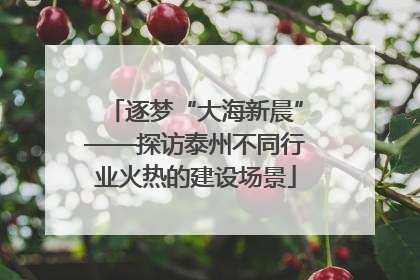 逐梦“大海新晨”——探访泰州不同行业火热的建设场景