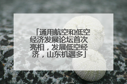 通用航空和低空经济发展论坛首次亮相，发展低空经济，山东机遇多