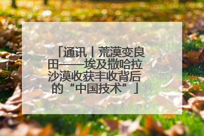 通讯丨荒漠变良田——埃及撒哈拉沙漠收获丰收背后的“中国技术”