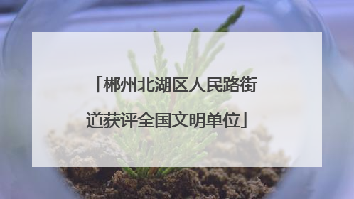 郴州北湖区人民路街道获评全国文明单位