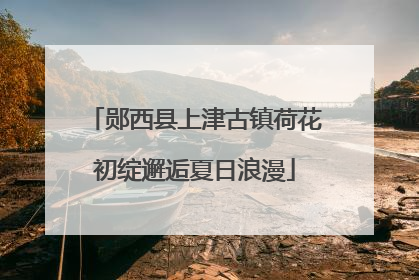 郧西县上津古镇荷花初绽邂逅夏日浪漫