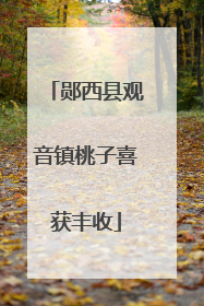 郧西县观音镇桃子喜获丰收