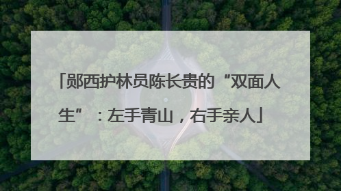 郧西护林员陈长贵的“双面人生”：左手青山，右手亲人