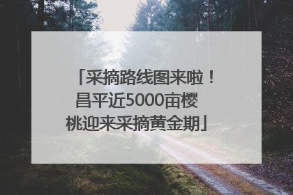 采摘路线图来啦！昌平近5000亩樱桃迎来采摘黄金期