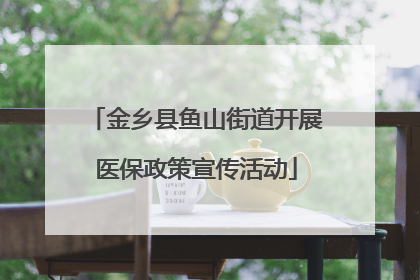 金乡县鱼山街道开展医保政策宣传活动