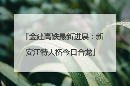 金建高铁最新进展：新安江特大桥今日合龙