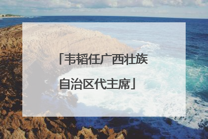 韦韬任广西壮族自治区代主席
