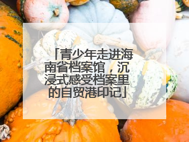 青少年走进海南省档案馆，沉浸式感受档案里的自贸港印记