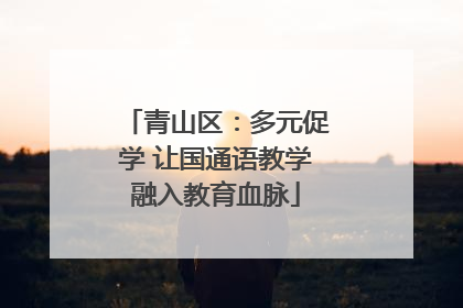青山区：多元促学 让国通语教学融入教育血脉