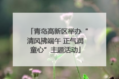 青岛高新区举办“清风拂端午 正气润童心”主题活动