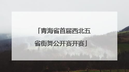 青海省首届西北五省街舞公开赛开赛