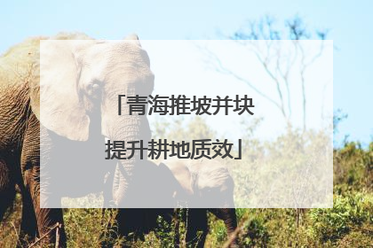 青海推坡并块提升耕地质效