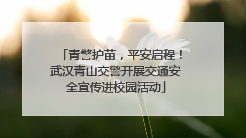 青警护苗，平安启程！武汉青山交警开展交通安全宣传进校园活动
