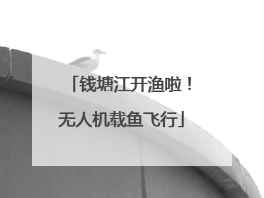 钱塘江开渔啦！无人机载鱼飞行