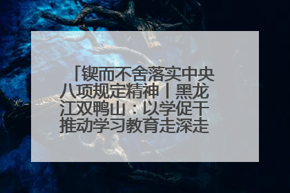 锲而不舍落实中央八项规定精神丨黑龙江双鸭山：以学促干推动学习教育走深走实 从小事入手写好“民生答卷”