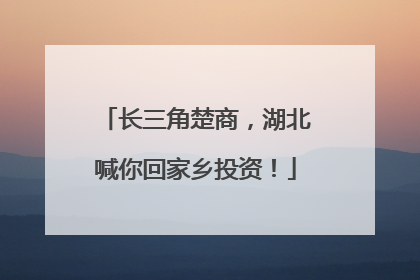 长三角楚商，湖北喊你回家乡投资！