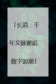 长清：千年文脉邂逅数字浪潮