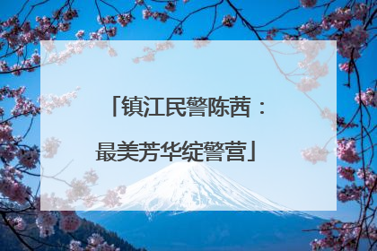 镇江民警陈茜：最美芳华绽警营