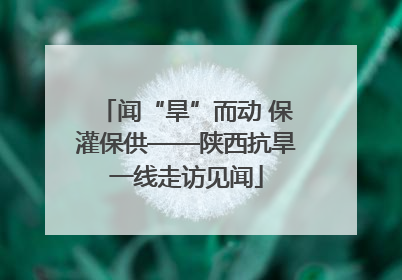 闻“旱”而动 保灌保供——陕西抗旱一线走访见闻