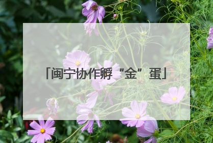 闽宁协作孵“金”蛋