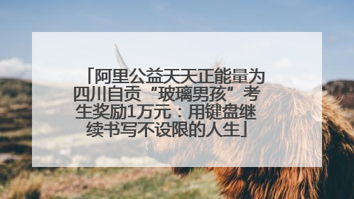阿里公益天天正能量为四川自贡“玻璃男孩”考生奖励1万元：用键盘继续书写不设限的人生