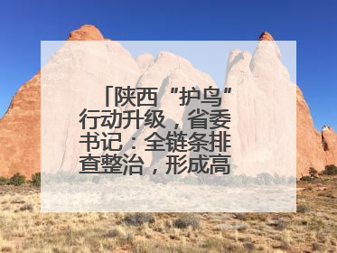 陕西“护鸟”行动升级，省委书记：全链条排查整治，形成高压震慑态势