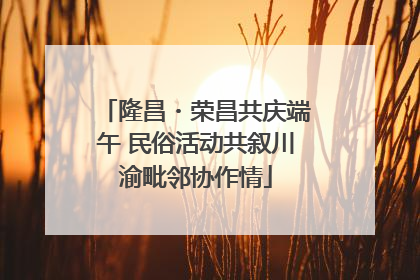 隆昌・荣昌共庆端午 民俗活动共叙川渝毗邻协作情