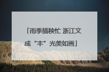 雨季插秧忙 浙江文成“丰”光美如画