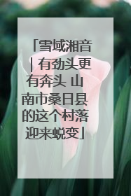 雪域湘音｜有劲头更有奔头 山南市桑日县的这个村落迎来蜕变
