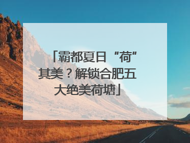 霸都夏日“荷”其美？解锁合肥五大绝美荷塘