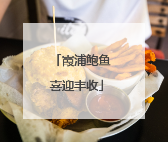 霞浦鲍鱼喜迎丰收