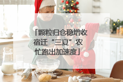 颗粒归仓稳增收 宿迁“三夏”农忙跑出加速度