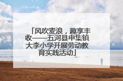 风吹麦浪，趣享丰收——五河县申集镇大李小学开展劳动教育实践活动