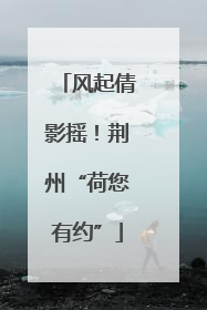 风起倩影摇！荆州“荷您有约”