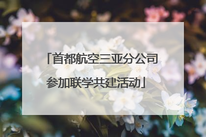 首都航空三亚分公司参加联学共建活动