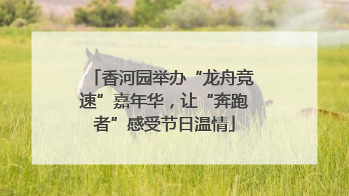 香河园举办“龙舟竞速”嘉年华，让“奔跑者”感受节日温情