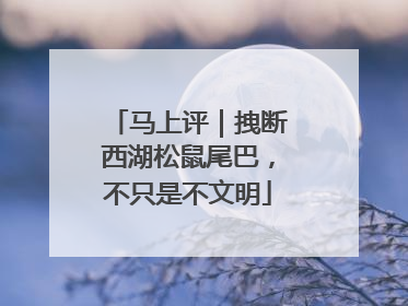 马上评｜拽断西湖松鼠尾巴，不只是不文明