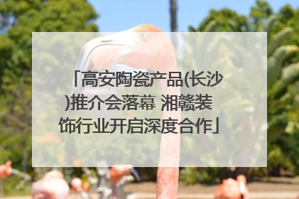 高安陶瓷产品(长沙)推介会落幕 湘赣装饰行业开启深度合作