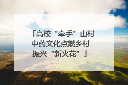 高校“牵手”山村 中药文化点燃乡村振兴“新火花”